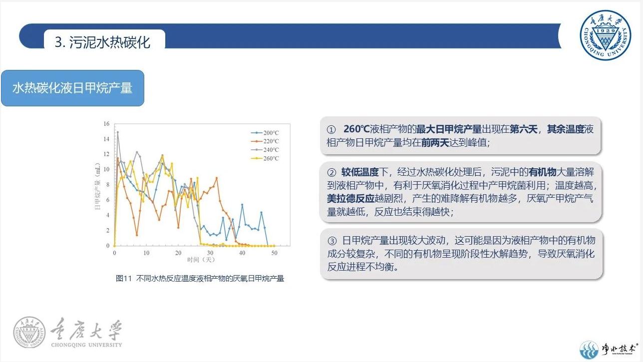 水热碳化技术在污泥处理处置中的应用