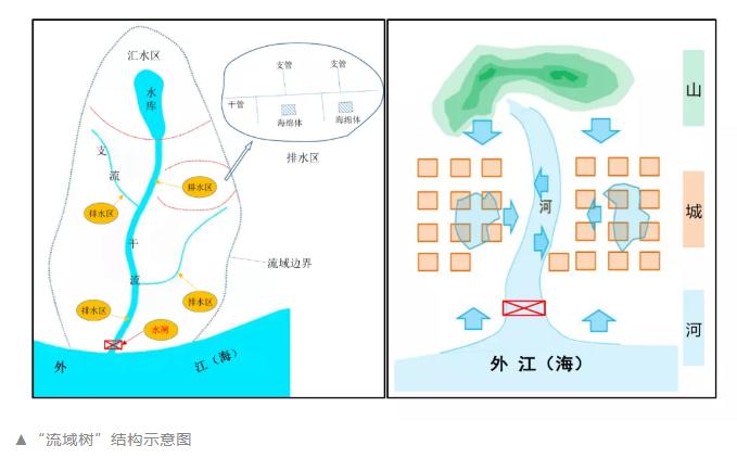 郑州特大暴雨启示：高密度城市如何应对暴雨洪涝