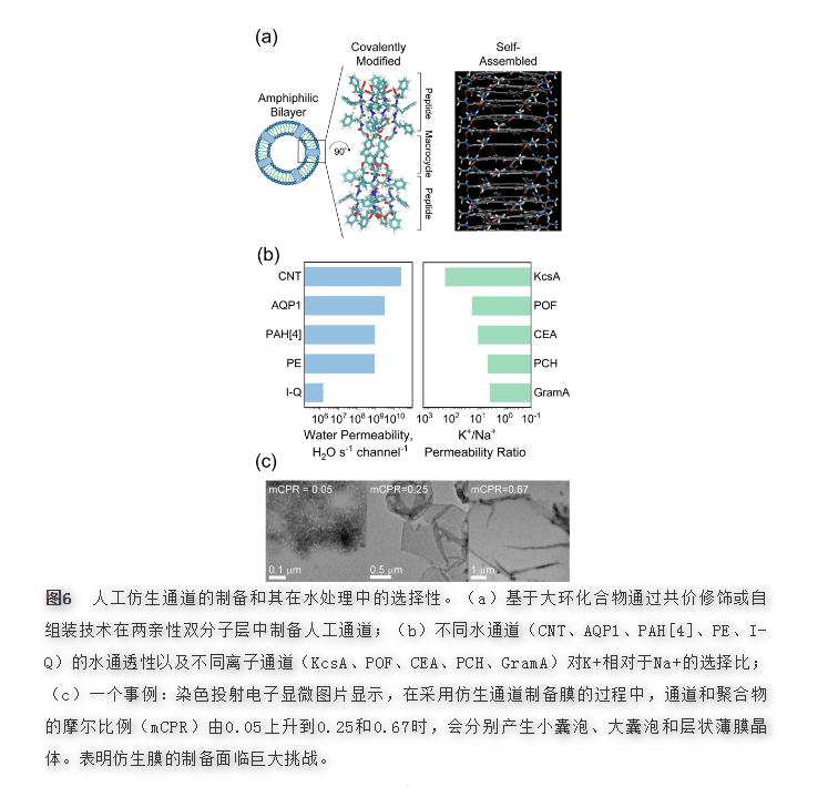选择性膜用于水和废水处理-先进材料的作用