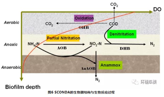 高氨氮有机废水深度处理新利器：SCONDAⓇ工艺