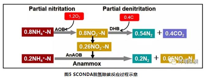 高氨氮有机废水深度处理新利器：SCONDAⓇ工艺