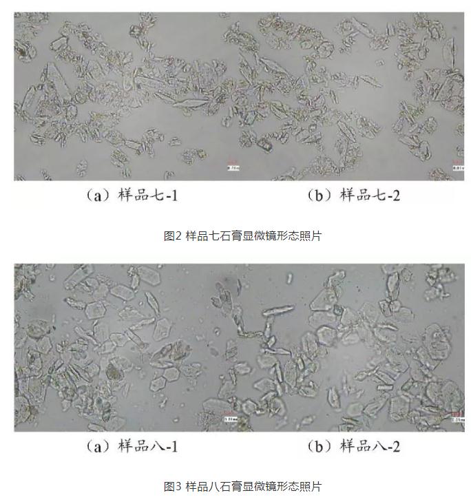 中水污泥回用对电厂脱硫过程中脱硫石膏品质的影响