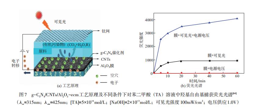 光催化分离膜的制备及其在水处理中的应用