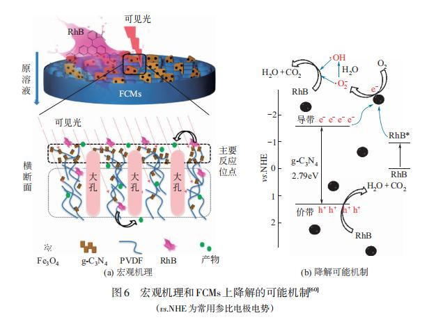 光催化分离膜的制备及其在水处理中的应用