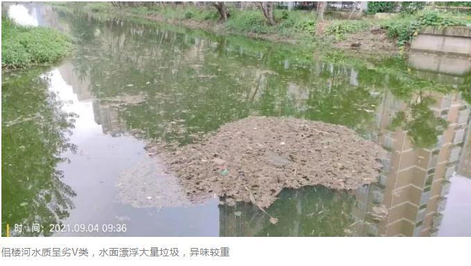 督察曝光 | 徐州沛县城区污水管网建设严重滞后 污水处理厂低效运行