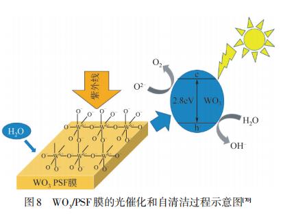 光催化分离膜的制备及其在水处理中的应用