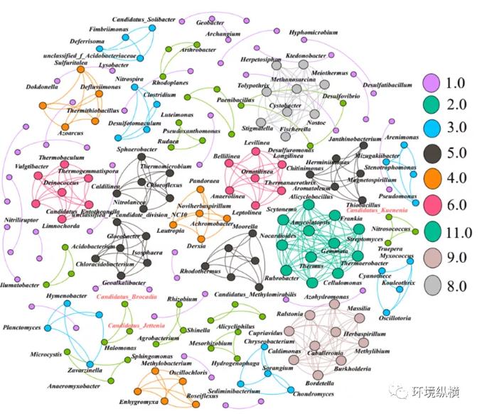 论有机物对厌氧氨氧化颗粒污泥的影响