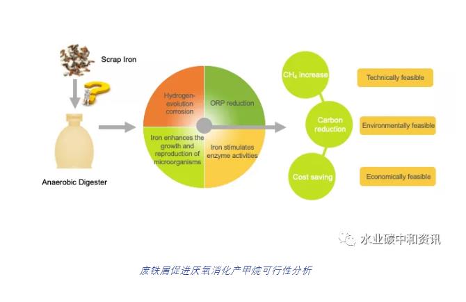 废铁屑强化污泥厌氧消化产甲烷可行性分析