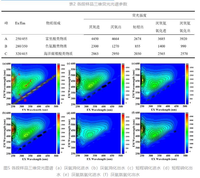 生活垃圾焚烧厂渗沥液厌氧氨氧化脱氮效能及微生物机理研究