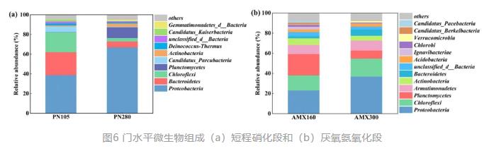 生活垃圾焚烧厂渗沥液厌氧氨氧化脱氮效能及微生物机理研究