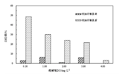 纤维素对污水生物处理系统性能的影响及机理分析