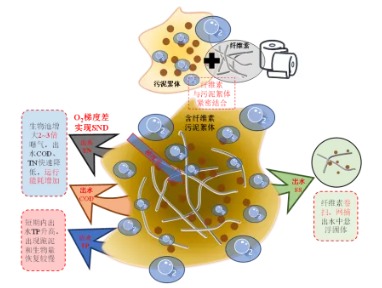 纤维素对污水生物处理系统性能的影响及机理分析