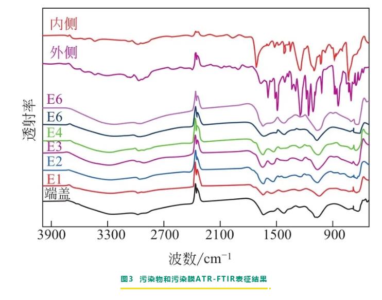 反渗透/纳滤膜剖检分析与膜污染诊断研究进展