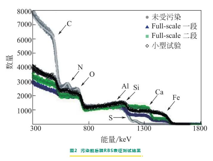 反渗透/纳滤膜剖检分析与膜污染诊断研究进展