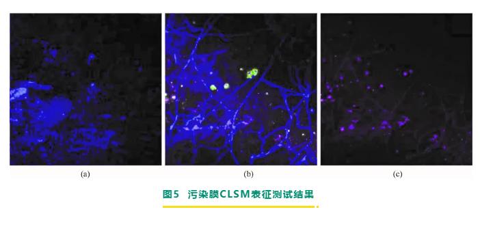 反渗透/纳滤膜剖检分析与膜污染诊断研究进展