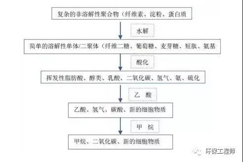 打通污水处理“最后一公里” 污泥处置技术到底有哪些？