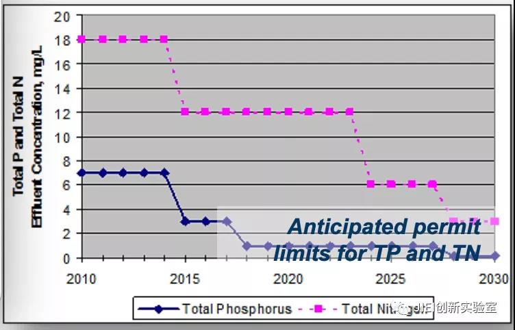 生物除磷究竟有多划算？终于有人算清楚了