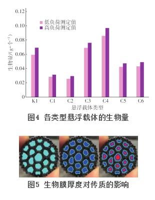 MBBR应用要点 | 悬浮载体有效比表面积的生物测定方法