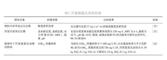 新型生物脱氮除磷技术在城市污水处理中的发展趋势