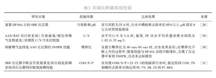 新型生物脱氮除磷技术在城市污水处理中的发展趋势