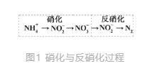 新型生物脱氮除磷技术在城市污水处理中的发展趋势