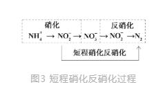 新型生物脱氮除磷技术在城市污水处理中的发展趋势