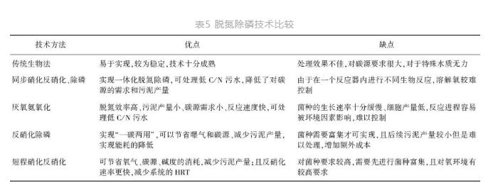 新型生物脱氮除磷技术在城市污水处理中的发展趋势