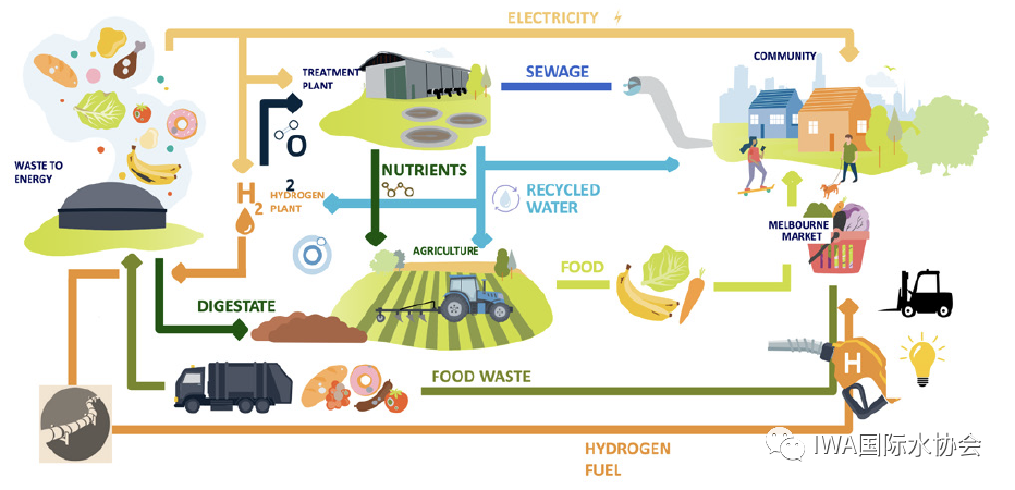 澳大利亚水务的“碳中和”尝试 污水厂变制氢厂！