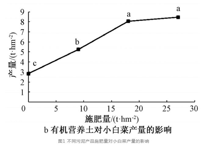 探讨：污泥产品对小白菜肥效和土壤质量的影响