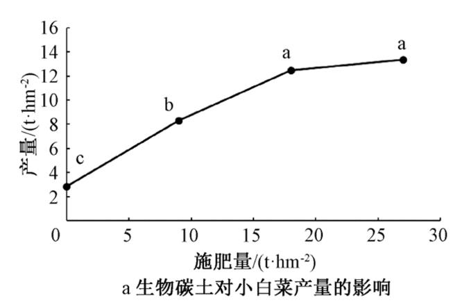 探讨：污泥产品对小白菜肥效和土壤质量的影响