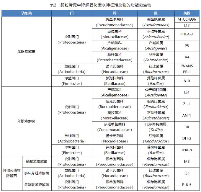 好氧颗粒污泥技术处理石化废水的研究进展