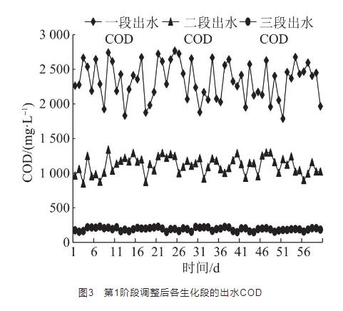 造纸废水处理强化生化系统COD去除的实例