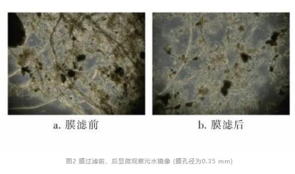 筛分回收污水中纤维素物质