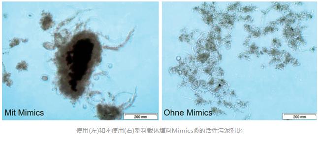 如何在传统A2O工艺里种出好氧颗粒污泥？