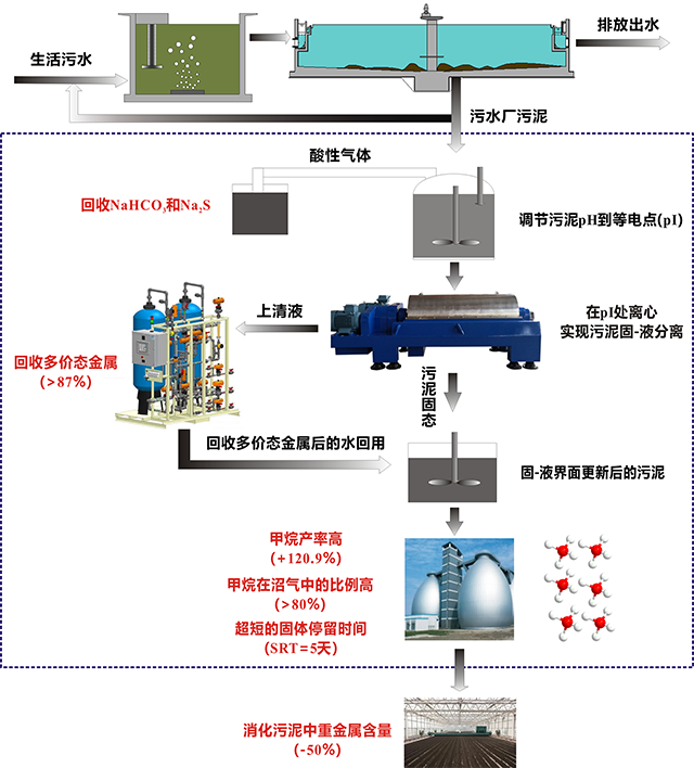 基于等电点预处理的新型污泥厌氧消化技术