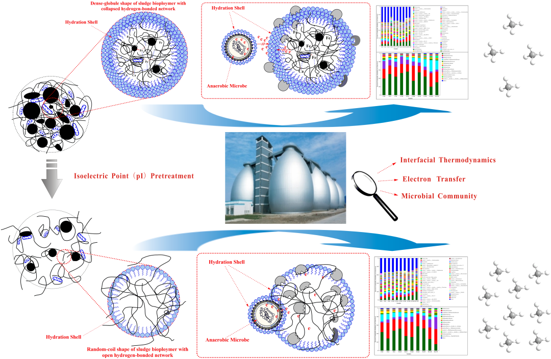 基于等电点预处理的新型污泥厌氧消化技术