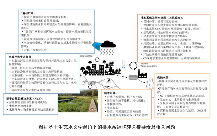 刘智晓：碳中和视角下城市可持续排水系统构建及评估指标体系
