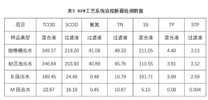 华北某集约型污水厂BFM工艺设计与运行分析