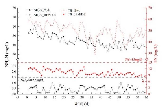 华北某集约型污水厂BFM工艺设计与运行分析