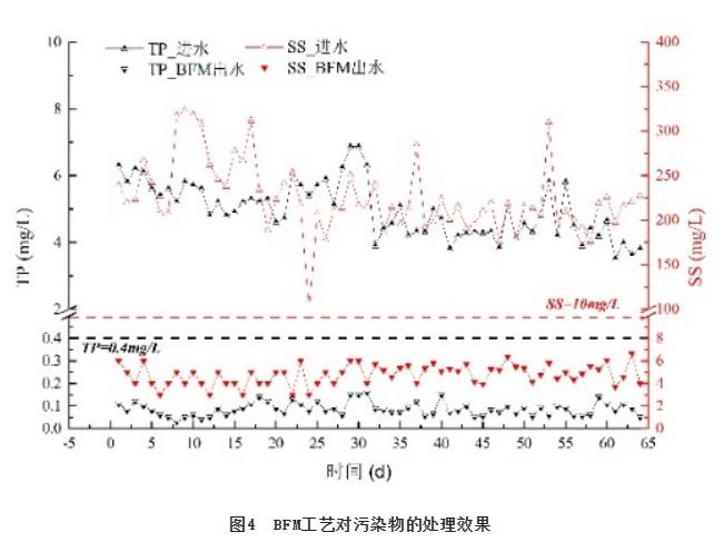 华北某集约型污水厂BFM工艺设计与运行分析