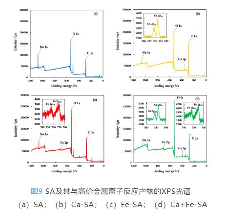 超滤回收藻酸盐：高价金属离子缓解膜污染与回收物特性