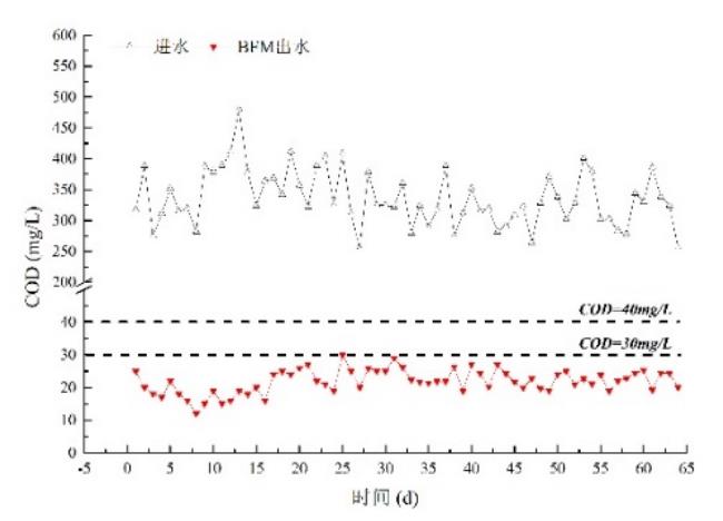 华北某集约型污水厂BFM工艺设计与运行分析