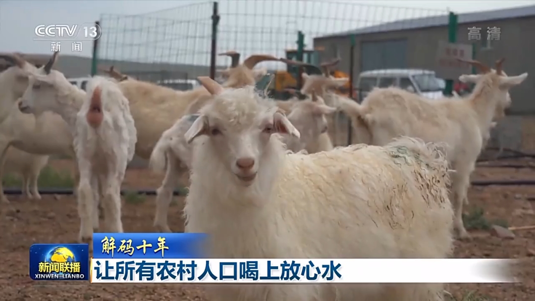 解码十年 · 让所有农村人口喝上放心水