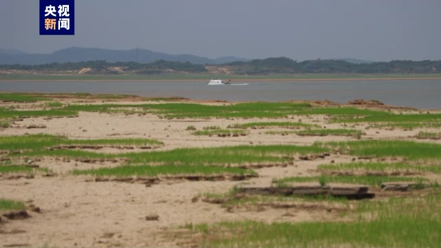 干旱致鄱阳湖“缩水” 水域面积较丰水期减少近3000平方公里