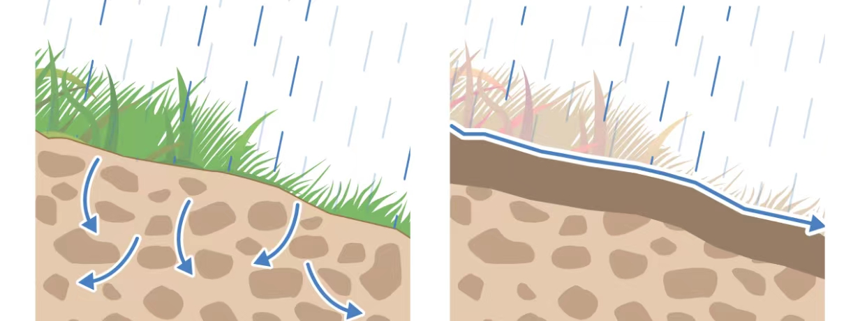 久旱逢暴雨为何危险？英国科学家对此很焦虑