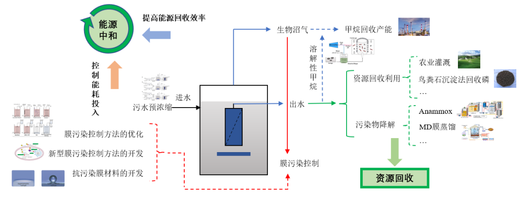 中国人民大学王洪臣教授团队：厌氧膜生物反应器处理市政污水研究进展