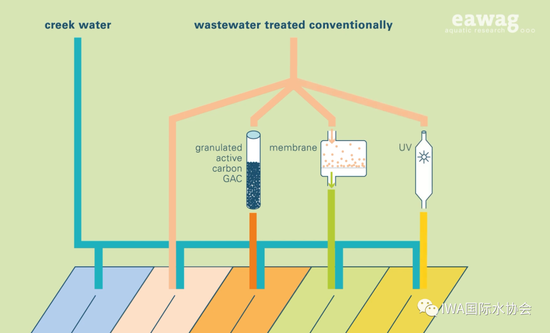 瑞士十年研究：污水处理与排放河流中生物膜微污染物耐受性的关系