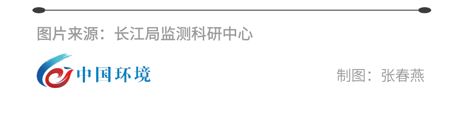 水生态监测为何要采样大型底栖无脊椎动物和浮游动物？