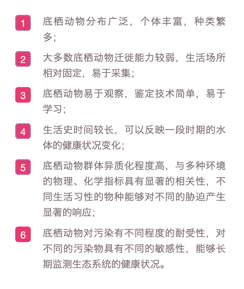 水生态监测为何要采样大型底栖无脊椎动物和浮游动物？