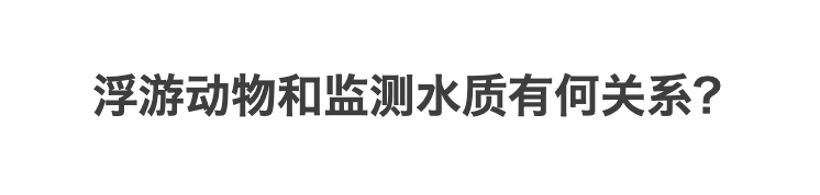 水生态监测为何要采样大型底栖无脊椎动物和浮游动物？